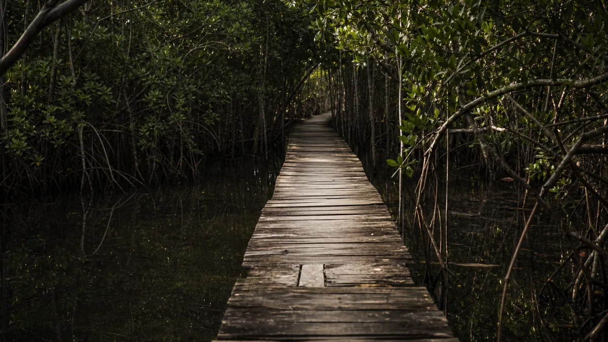 Richards Bay en Afrique du Sud : entre port et biodiversité